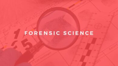Video forensics course digital take