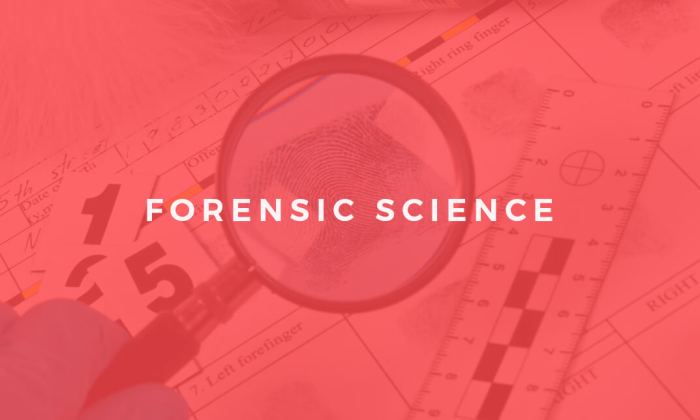 Video forensics course digital take