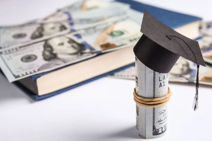 Student loans help viahouse